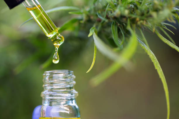 All about the Essential Oils